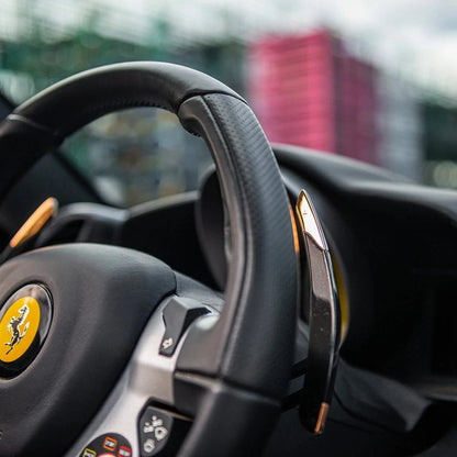 Ferrari gold paddle & manettino