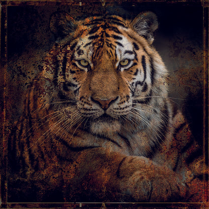 The hunter